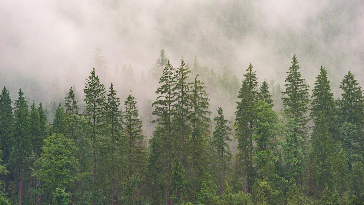 Lorem ipsum dolor sit amet