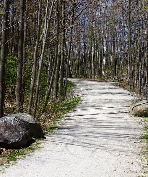Bruce Trail