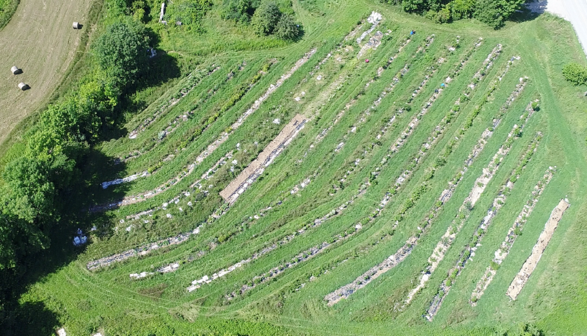 Garden of Eating